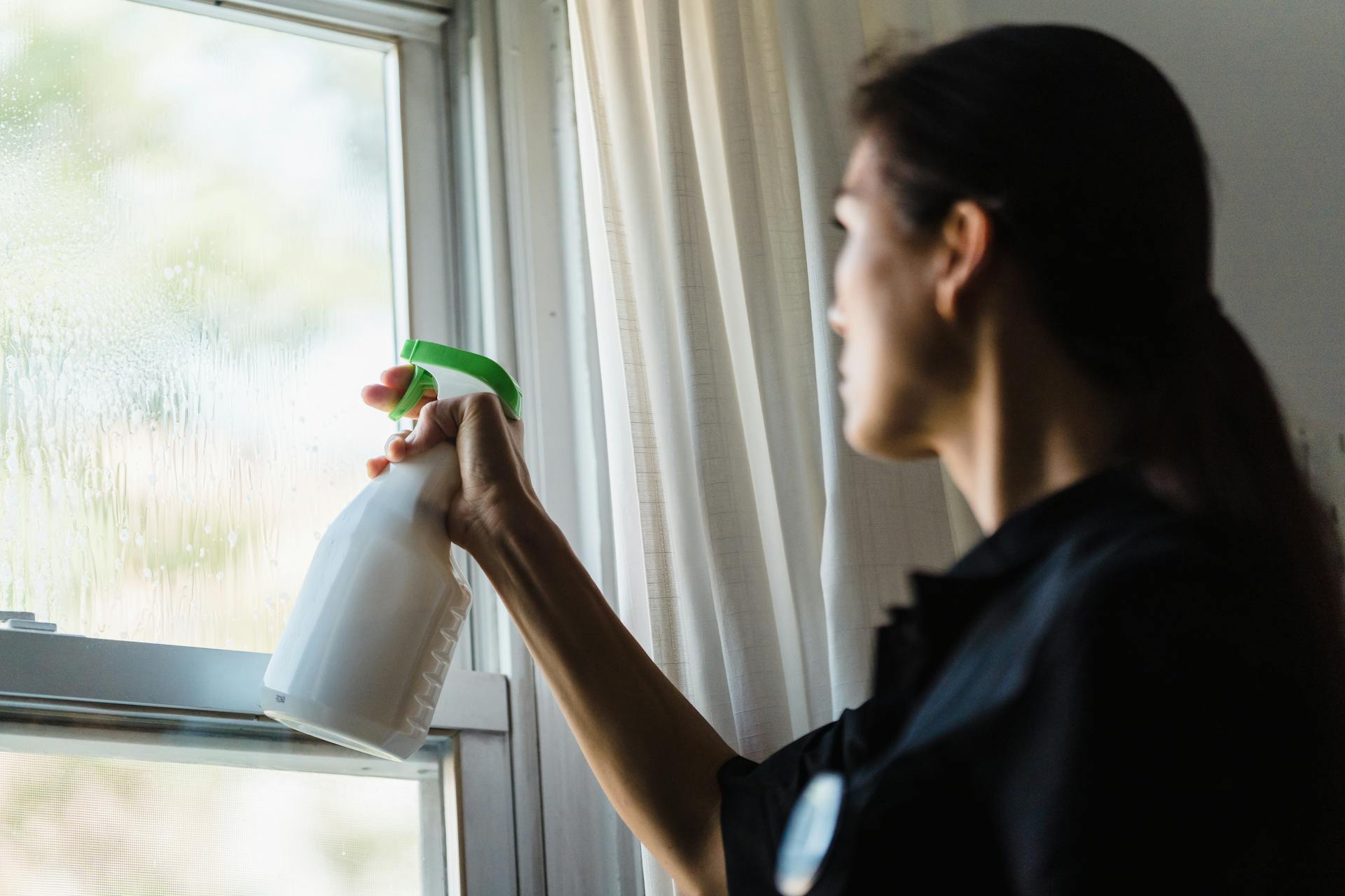 A Woman Spraying a Window with Glass Cleaner